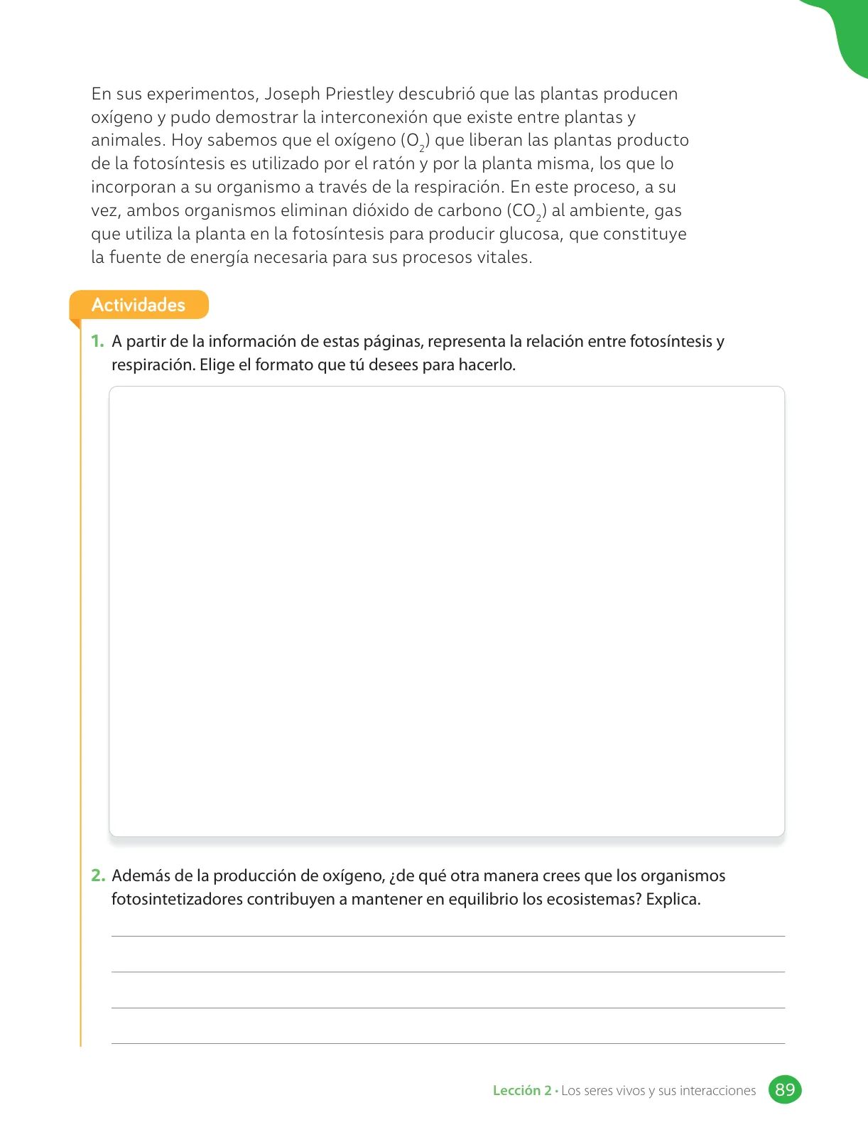 Miniatura página 91 de Libro de Ciencias Naturales – Quinto Básico | Texto del Estudiante MINEDUC – Descargar PDF · 2024