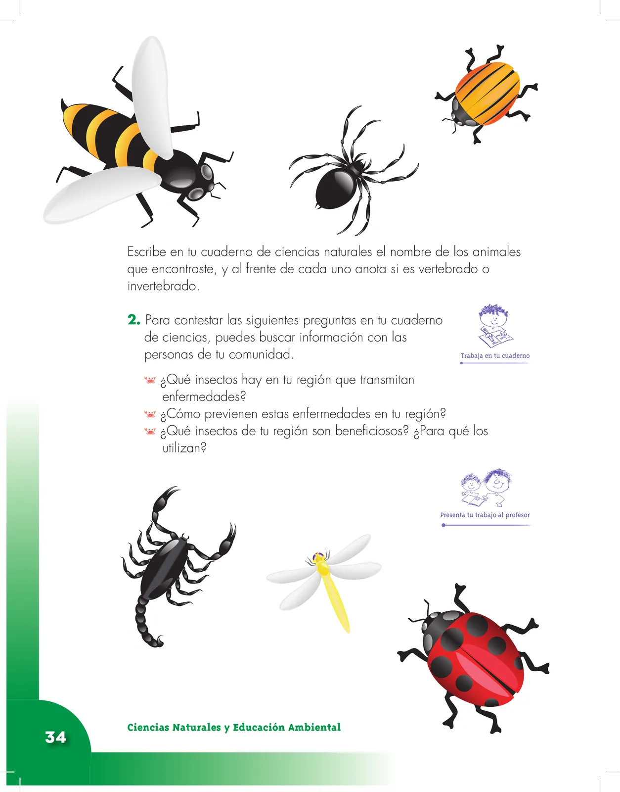 Miniatura página 34 de Ciencias Naturales 3° · Cartilla 01
