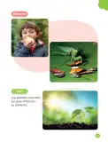 Miniatura página 59 de Ciencias Naturales – Primero Básico | Texto del Estudiante (MINEDUC) – Descargar PDF · 2024