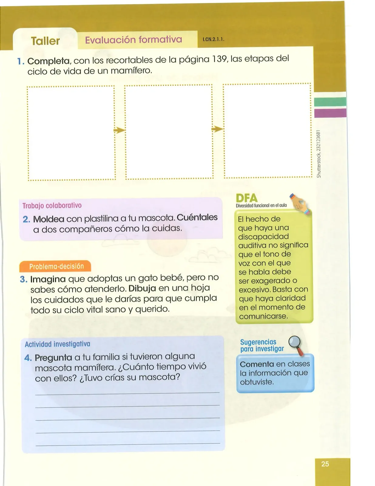 Página 26