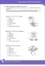 Miniatura página 40 de Lengua de señas peruana : guía para el aprendizaje de la lengua de señas peruana, vocabulario básico · 2015