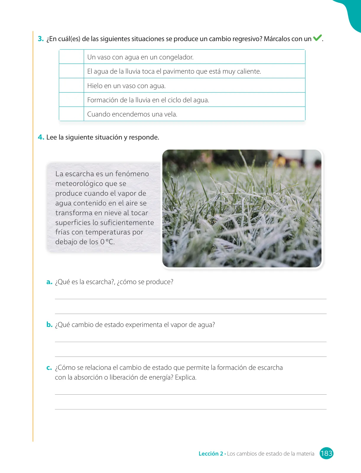 Página 185 de Libro de Ciencias Naturales – Quinto Básico | Texto del Estudiante MINEDUC – Descargar PDF · 2024