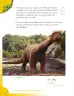 Miniatura página 40 de Ciencias Naturales 2° · Cartilla 02