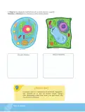Miniatura página 61 de Biologia 1° · Bgu 1 Biologia 2024 · 2024