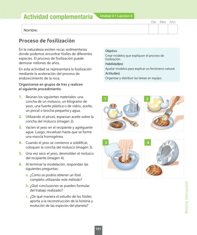 Página 162 de Ciencias Naturales – Séptimo Básico | Texto del Estudiante MINEDUC – Descargar PDF · 2024