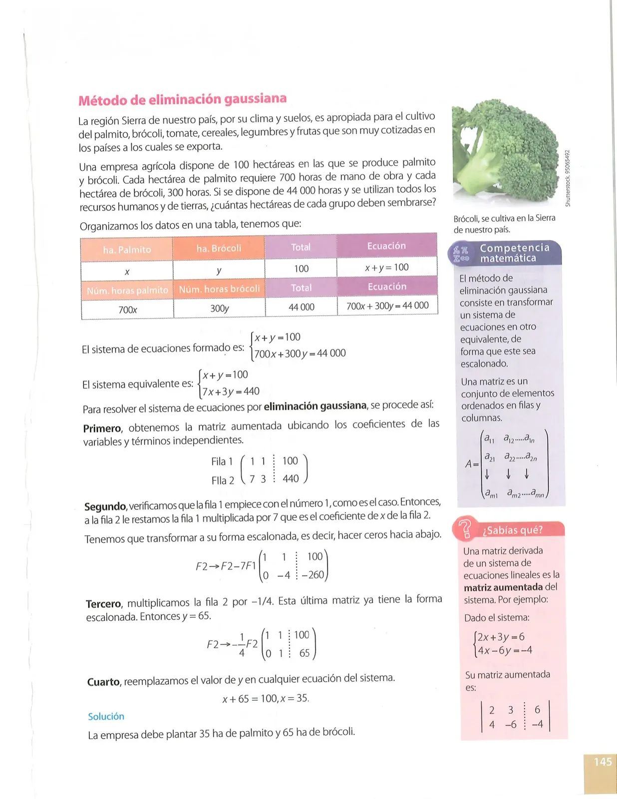 Página 145 de Matematica · 10 EGB · 2025