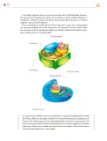 Miniatura página 271 de Colección Ximhai. Saberes y pensamiento científico.   Libro de Educación Secundaria Grado 1°  Ciclo Escolar 2025 - 2026