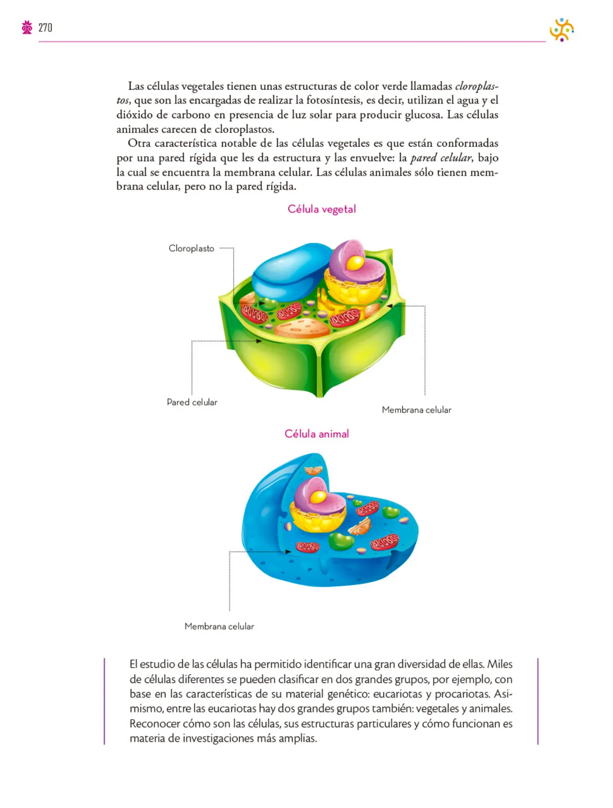 Miniatura página 271 de Colección Ximhai. Saberes y pensamiento científico.   Libro de Educación Secundaria Grado 1°  Ciclo Escolar 2025 - 2026