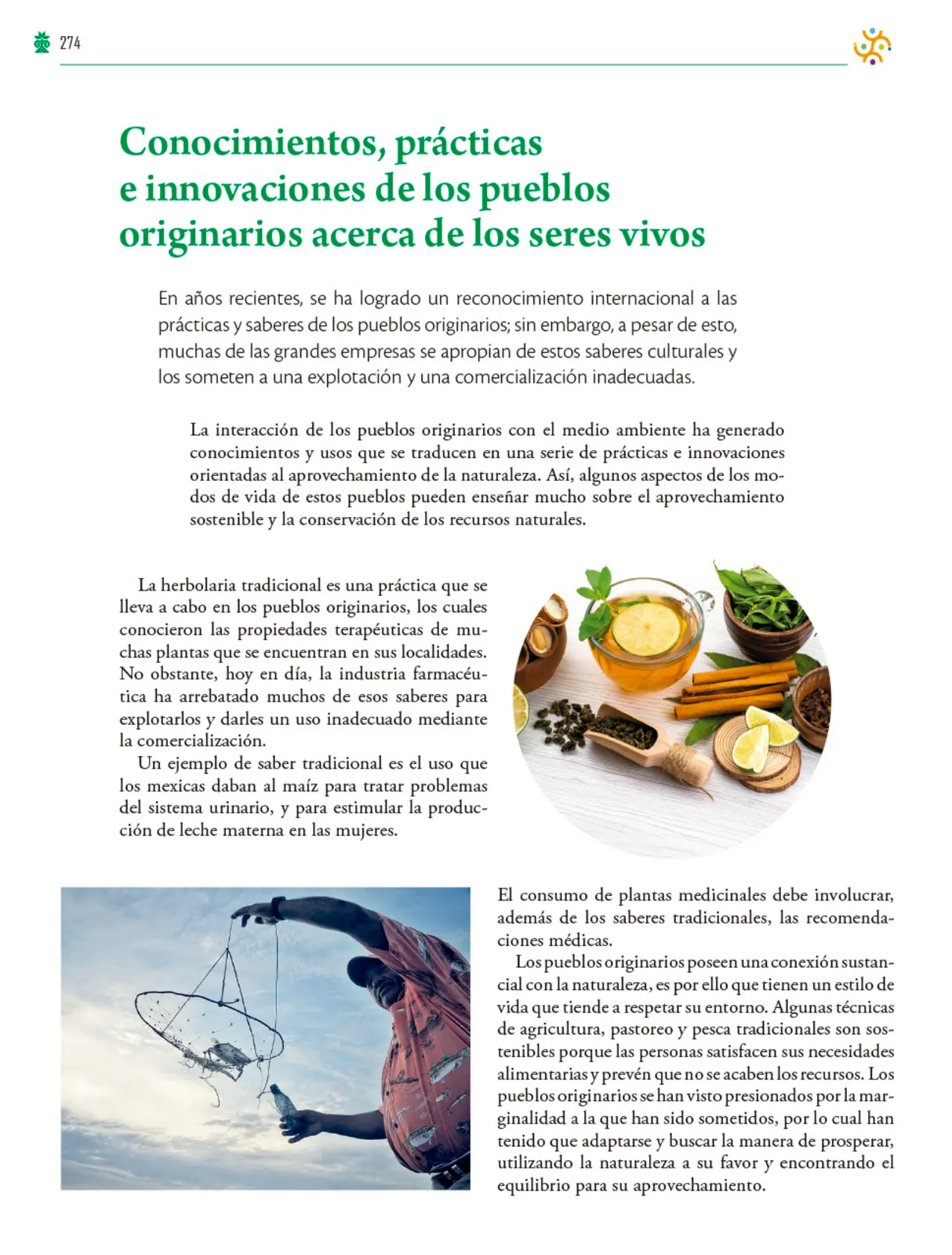 Página 275 de Colección Ximhai. Saberes y pensamiento científico. Libro de Educación Telesecundaria Grado 1° Ciclo Escolar 2025 - 2026
