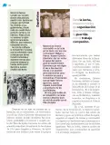 Miniatura página 267 de Nuestros saberes: México, grandeza y diversidad.   Libro de Educación Primaria Grado 4°  Ciclo Escolar 2025 - 2026