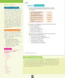 Miniatura página 103 de Inglés – Octavo Básico | Student’s Book MINEDUC – Descargar PDF · 2024
