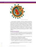 Miniatura página 150 de Ciencias Naturales 8° · Secundaria Activa