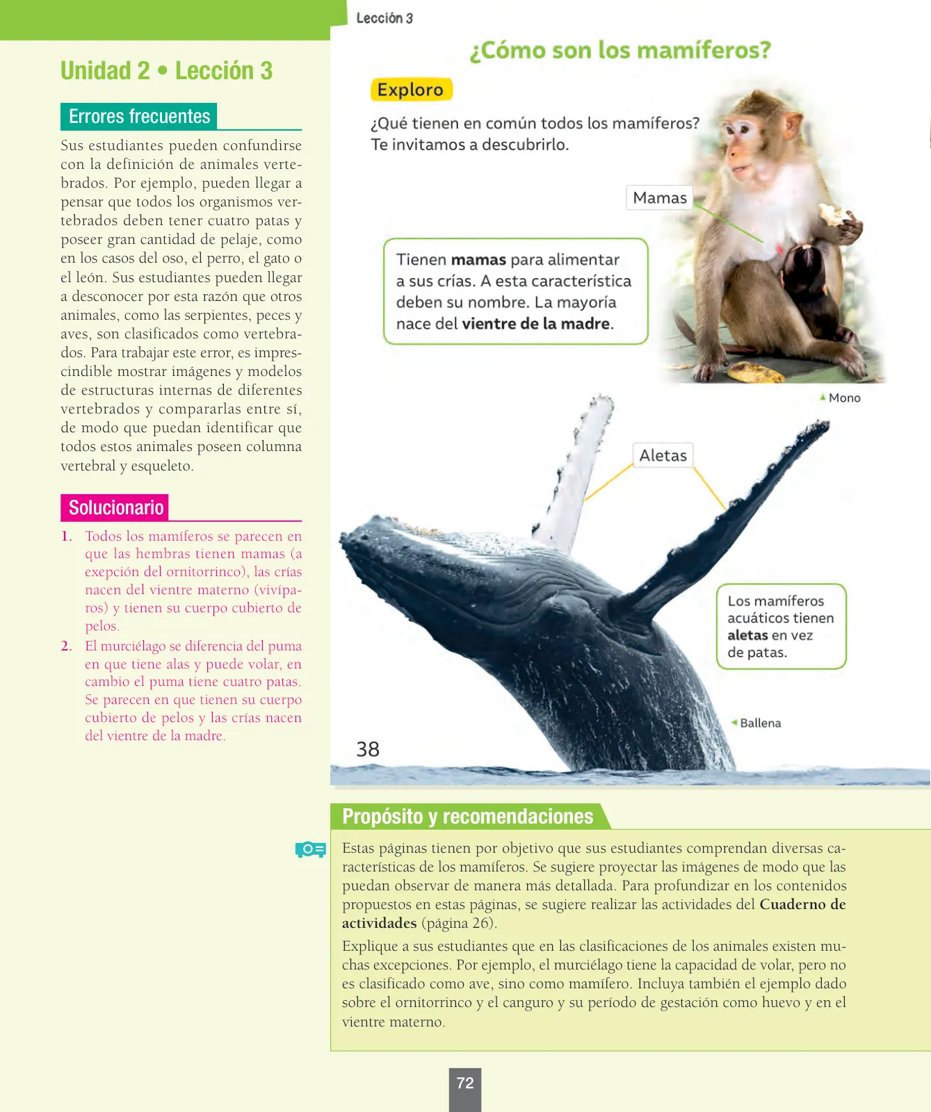 Página 73 de Ciencias Naturales – Segundo Básico | Texto del Estudiante MINEDUC – Descargar PDF · 2024
