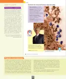 Miniatura página 125 de Ciencias Naturales – Séptimo Básico | Texto del Estudiante MINEDUC – Descargar PDF · 2024