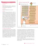 Miniatura página 16 de Sumo Primero – Segundo Básico | Texto del Estudiante MINEDUC – Descargar PDF · 2024