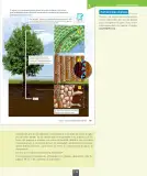 Miniatura página 120 de Ciencias Naturales – Octavo Básico | Texto del Estudiante MINEDUC – Descargar PDF · 2024