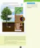 Miniatura página 120 de Ciencias Naturales – Octavo Básico | Texto del Estudiante MINEDUC – Descargar PDF · 2024