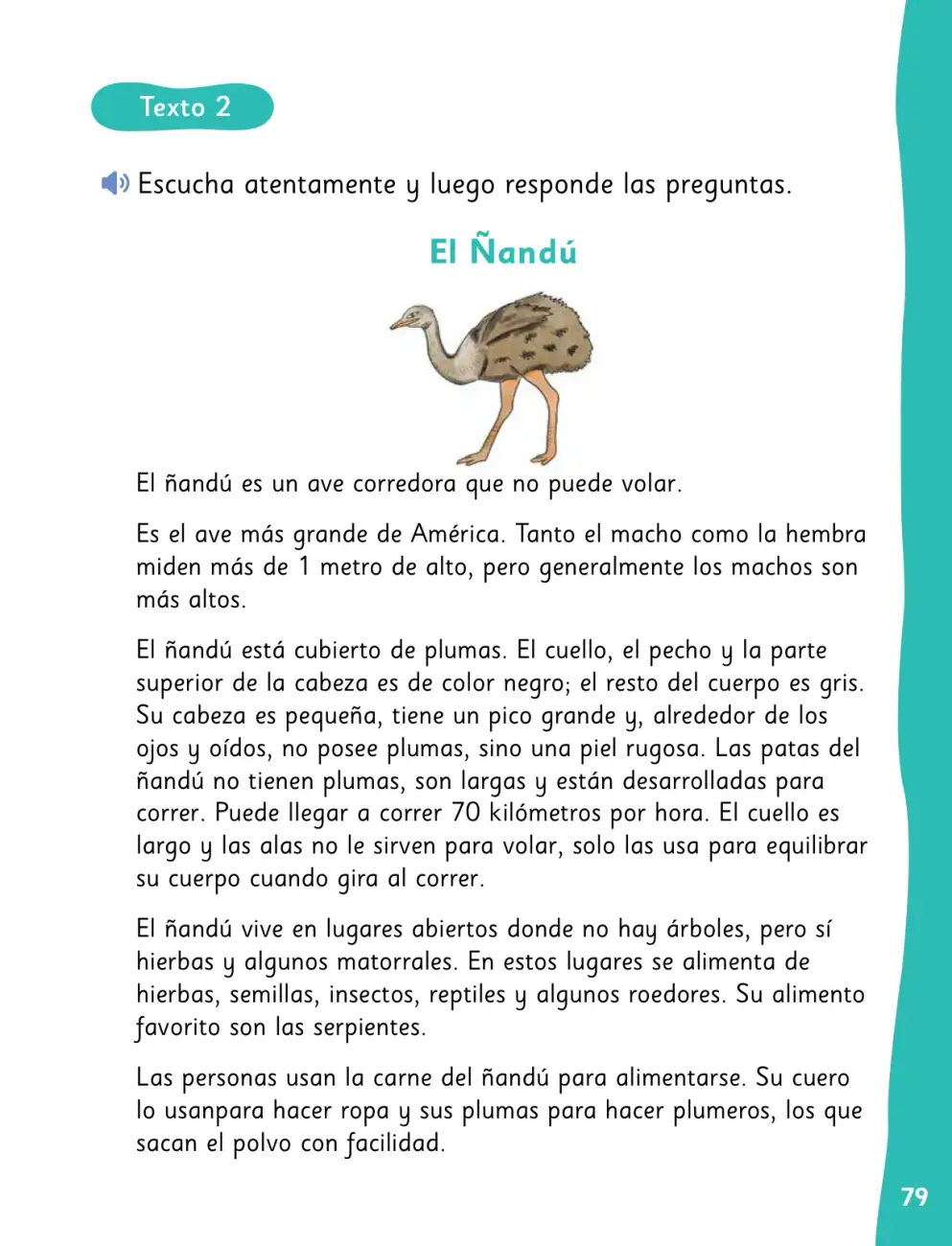 Página 82