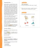 Miniatura página 71 de Lenguaje y Comunicación – Segundo Básico – Texto del Estudiante MINEDUC – Descargar PDF · 2024