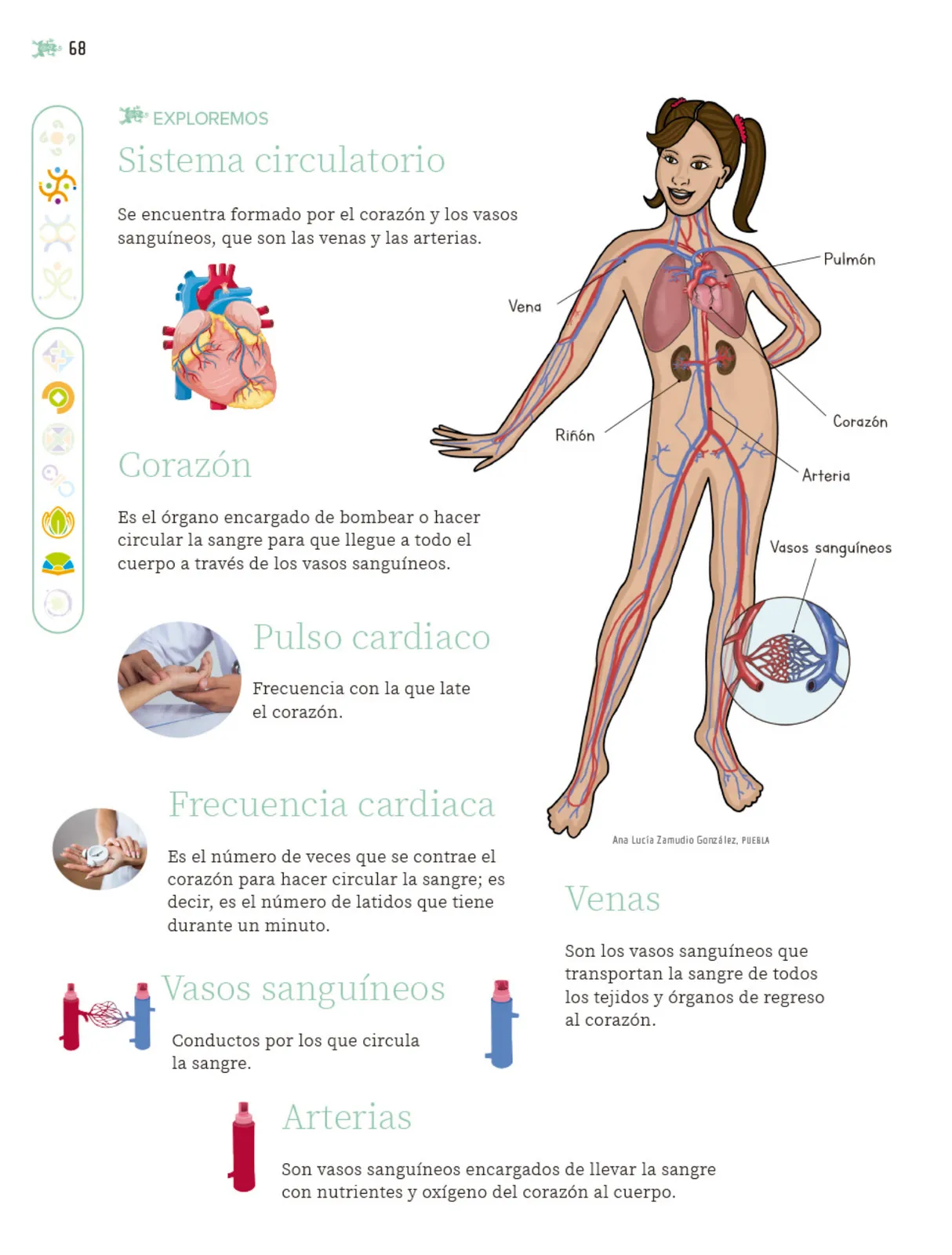 Miniatura página 69 de Nuestros saberes: Libro para alumnos, maestros y familia.   Libro de Educación Primaria Grado 5°  Ciclo Escolar 2025 - 2026