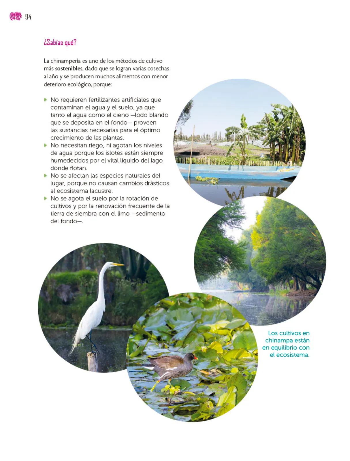 Página 95 de Colección Sk´asolil. Múltiples lenguajes. Libro de Educación Secundaria Grado 2° Ciclo Escolar 2025 - 2026