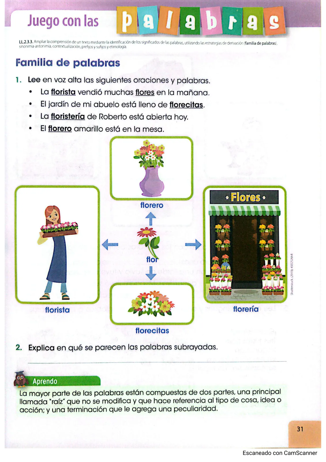 Pág 25