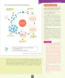 Miniatura página 22 de Ciencias Naturales – Séptimo Básico | Texto del Estudiante MINEDUC – Descargar PDF · 2024