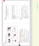 Miniatura página 114 de Inglés – Séptimo Básico | Student’s Book MINEDUC – Descargar PDF · 2024