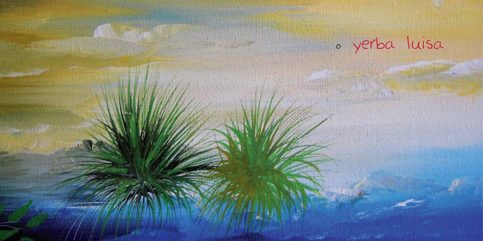 Página 5 de Selva, selvita curanderita. Cuento No. 29 · 2012