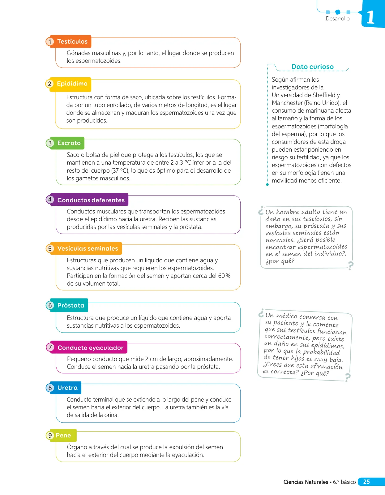 Página 102 de Libro de Ciencias Naturales – Quinto Básico | Texto del Estudiante MINEDUC – Descargar PDF · 2024