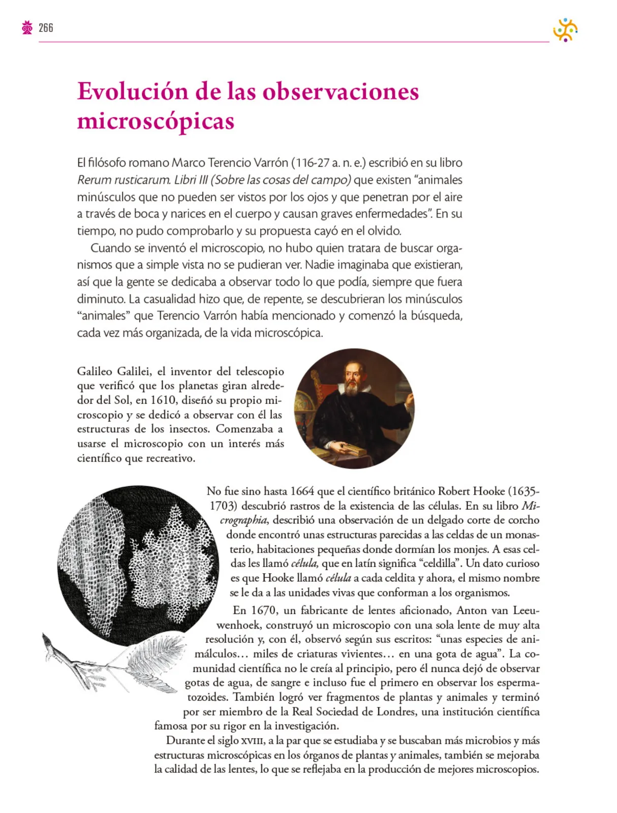 Página 267 de Colección Ximhai. Saberes y pensamiento científico. Libro de Educación Secundaria Grado 1° Ciclo Escolar 2025 - 2026