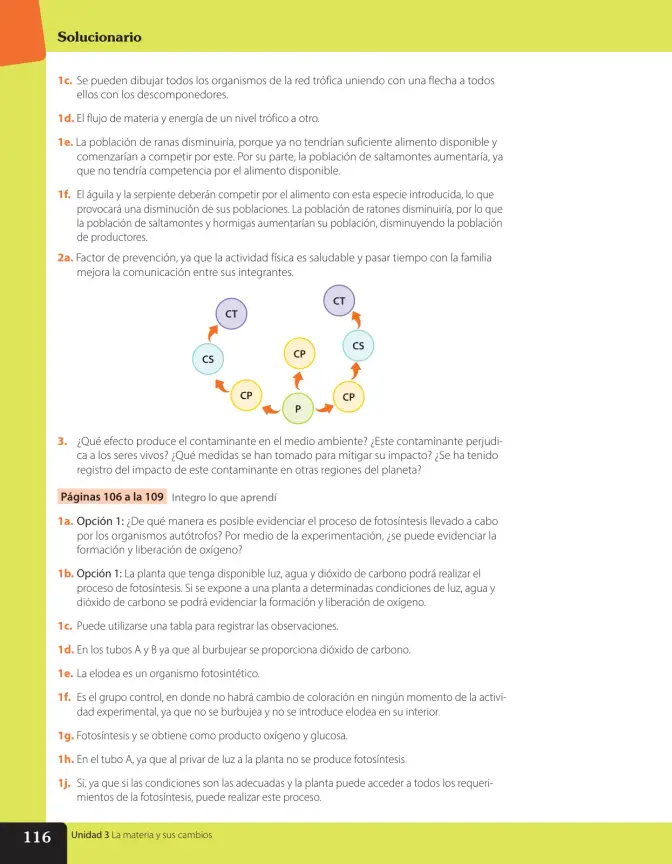 Página 183 de Libro de Ciencias Naturales – Quinto Básico | Texto del Estudiante MINEDUC – Descargar PDF · 2024