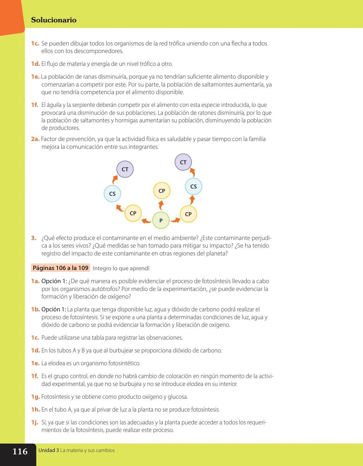 Miniatura página 183 de Libro de Ciencias Naturales – Quinto Básico | Texto del Estudiante MINEDUC – Descargar PDF · 2024