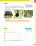 Miniatura página 244 de Lenguaje y Comunicación – Quinto Básico | Texto del Estudiante MINEDUC – Descargar PDF · 2024