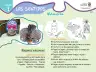 Miniatura página 15 de Ciencias Naturales · Fichas