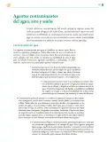 Miniatura página 172 de Colección Nanahuatzin. Saberes y pensamiento científico.   Libro de Educación Telesecundaria Grado 3°  Ciclo Escolar 2025 - 2026