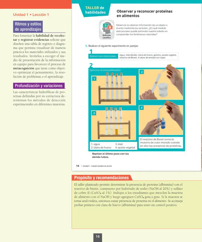 Página 17 de Ciencias Naturales – Octavo Básico | Texto del Estudiante MINEDUC – Descargar PDF · 2024