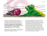 Miniatura página 66 de Múltiples lenguajes.   Libro de Educación Preescolar Grado 3°  Ciclo Escolar 2025 - 2026