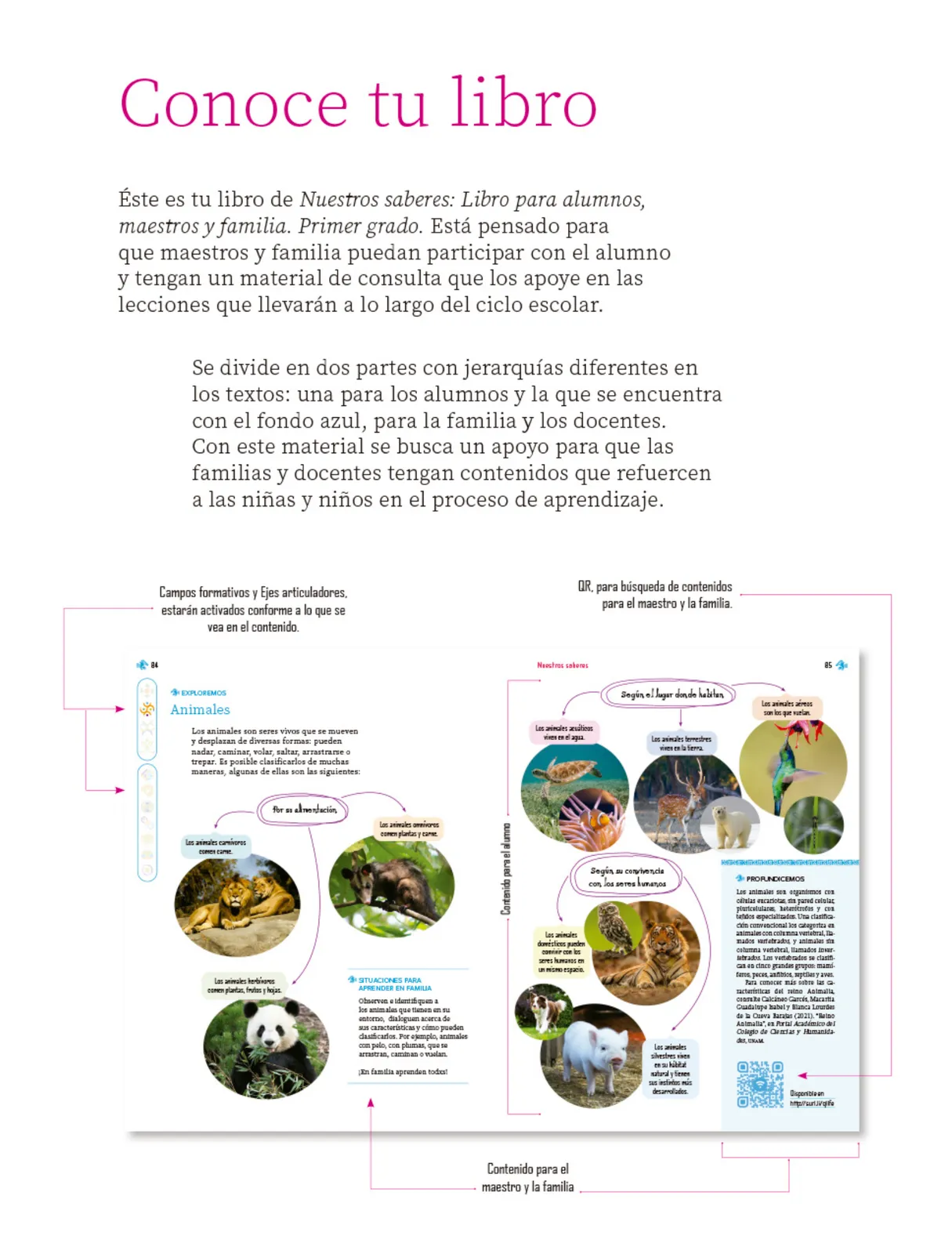 Página 6 de Nuestros saberes: Libro para alumnos, maestros y familia.   Libro de Educación Primaria Grado 1°  Ciclo Escolar 2025 - 2026