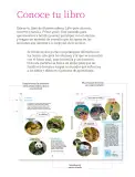 Miniatura página 6 de Nuestros saberes: Libro para alumnos, maestros y familia.   Libro de Educación Primaria Grado 1°  Ciclo Escolar 2025 - 2026
