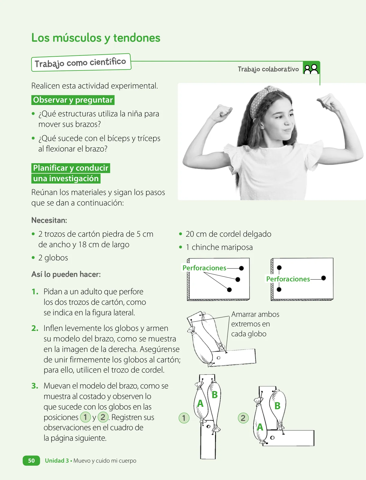 Miniatura página 52 de Ciencias Naturales – Cuarto Básico | Texto del Estudiante MINEDUC – Descargar PDF · 2024