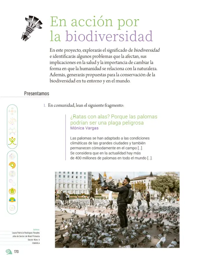 Página 173 de Proyectos de Aula. Libro de Educación Primaria Grado 6° Ciclo Escolar 2025 - 2026