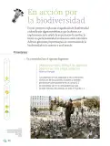 Miniatura página 173 de Proyectos de Aula.   Libro de Educación Primaria Grado 6°  Ciclo Escolar 2025 - 2026