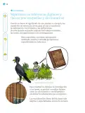 Miniatura página 17 de Nuestros saberes: Libro para alumnos, maestros y familia.   Libro de Educación Primaria Grado 2°  Ciclo Escolar 2025 - 2026