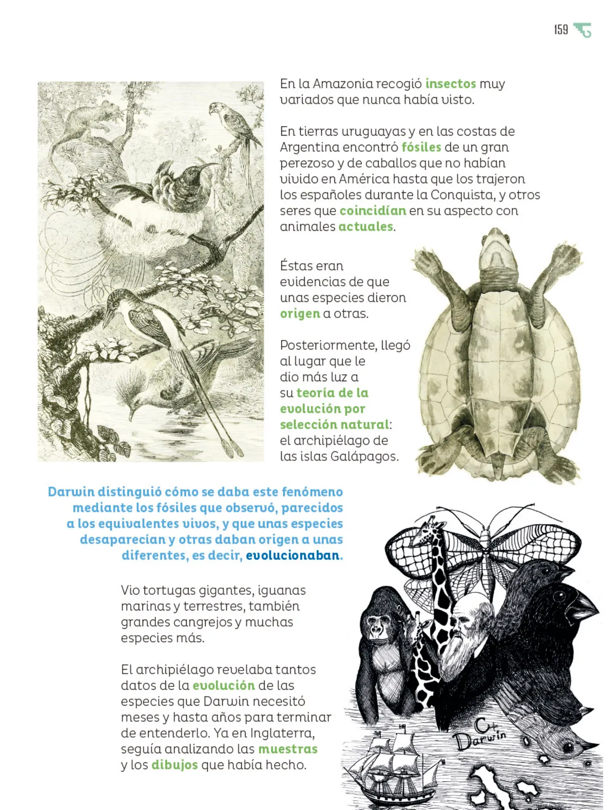 Página 160 de Múltiples lenguajes. Libro de Educación Primaria Grado 6° Ciclo Escolar 2025 - 2026