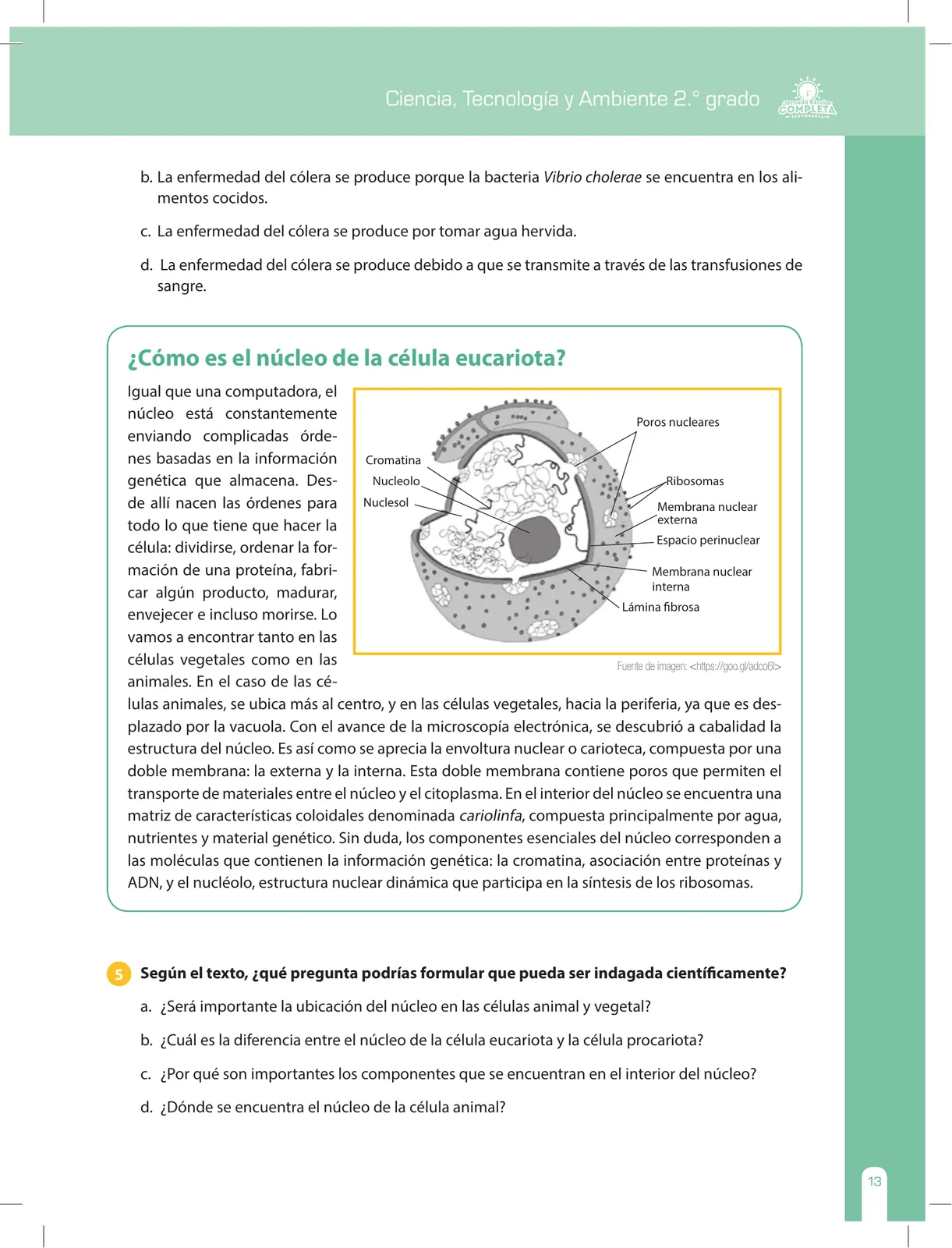 Miniatura página 13 de Ciencia, Tecnología y Ambiente 2 : cuaderno de reforzamiento pedagógico - JEC · 2016