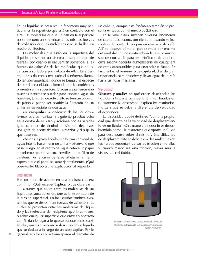 Página 50 de Ciencias Naturales 8° · Secundaria Activa