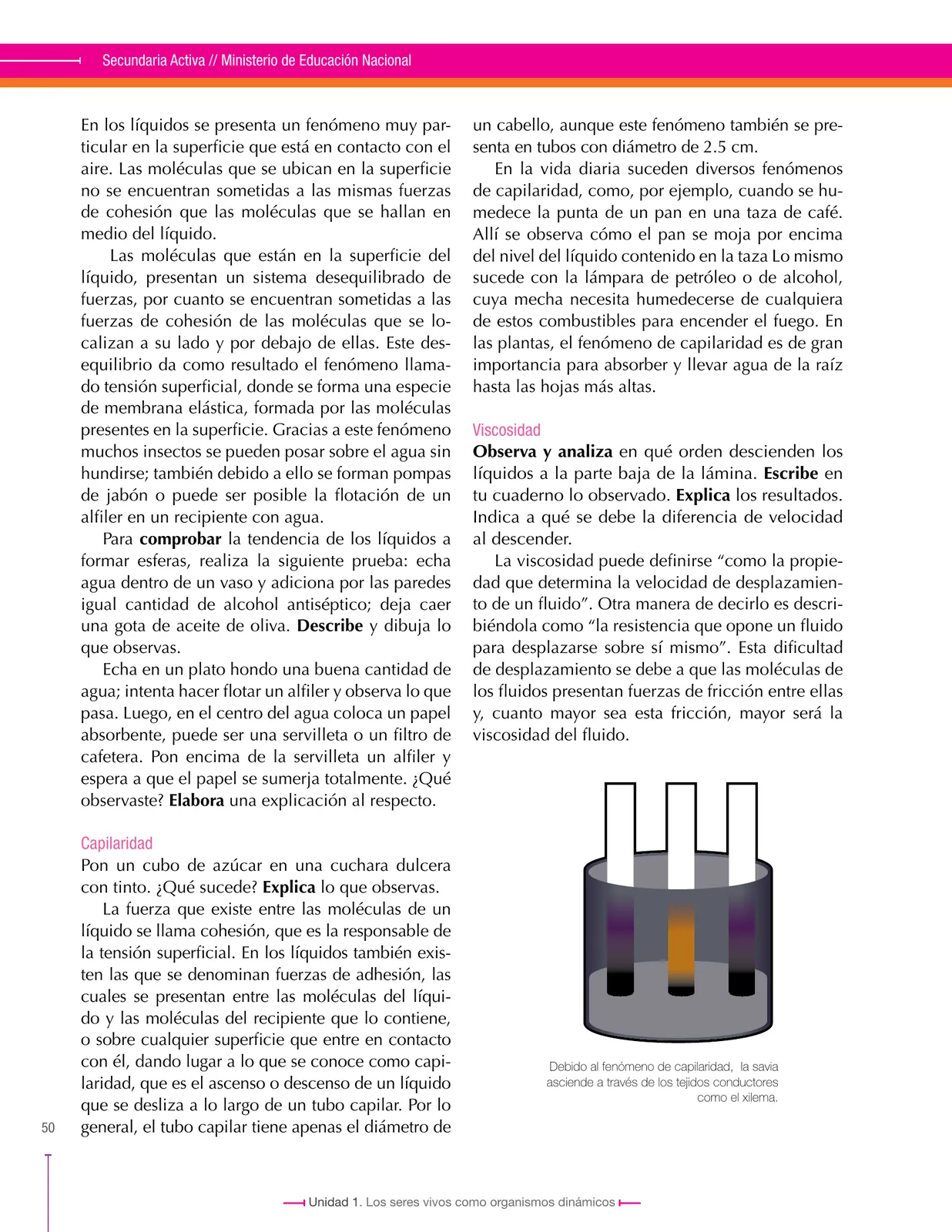 Miniatura página 50 de Ciencias Naturales 8° · Secundaria Activa