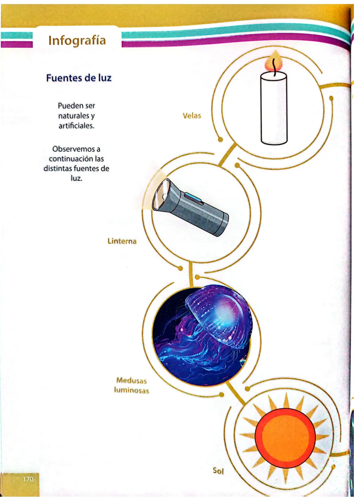 Miniatura página 167 de Ciencias Naturales · 4 EGB · 2025