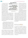 Miniatura página 255 de Nuestros saberes: México, grandeza y diversidad.   Libro de Educación Primaria Grado 4°  Ciclo Escolar 2025 - 2026